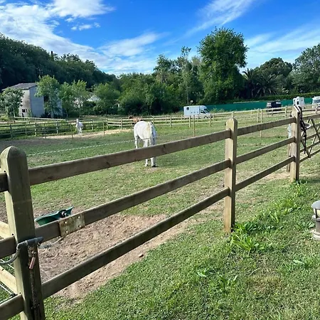Cdc Stables