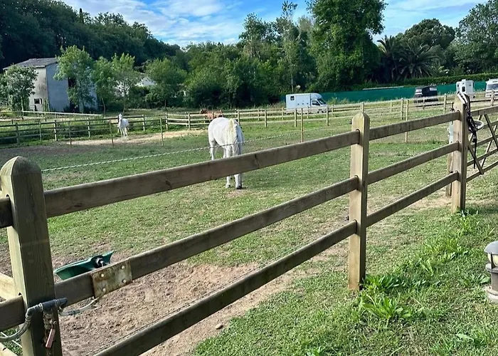 Cdc Stables