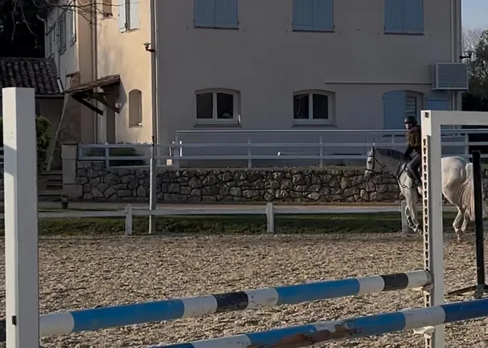 Cdc Stables